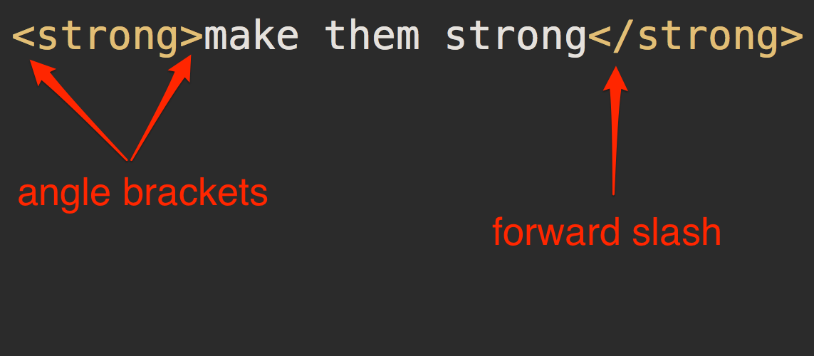 تگ strong چیست ؟