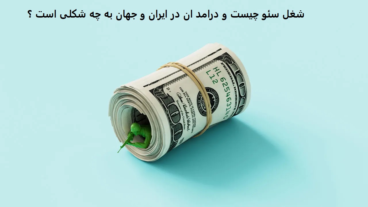 شغل سئو چست و چقدر در ایران  و خارج درامد دارد ؟